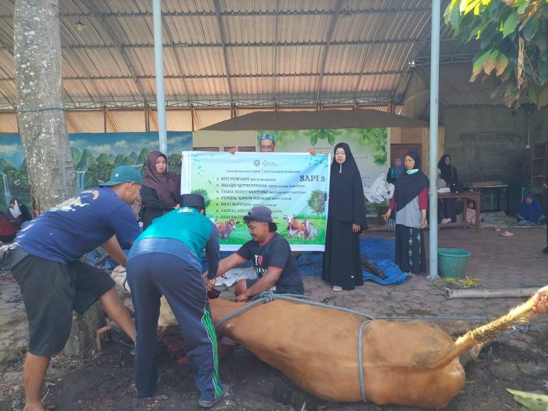 Proses penyembelihan sapi yang didampingi langsung oleh assatidz Al Azhaar Tulungagung